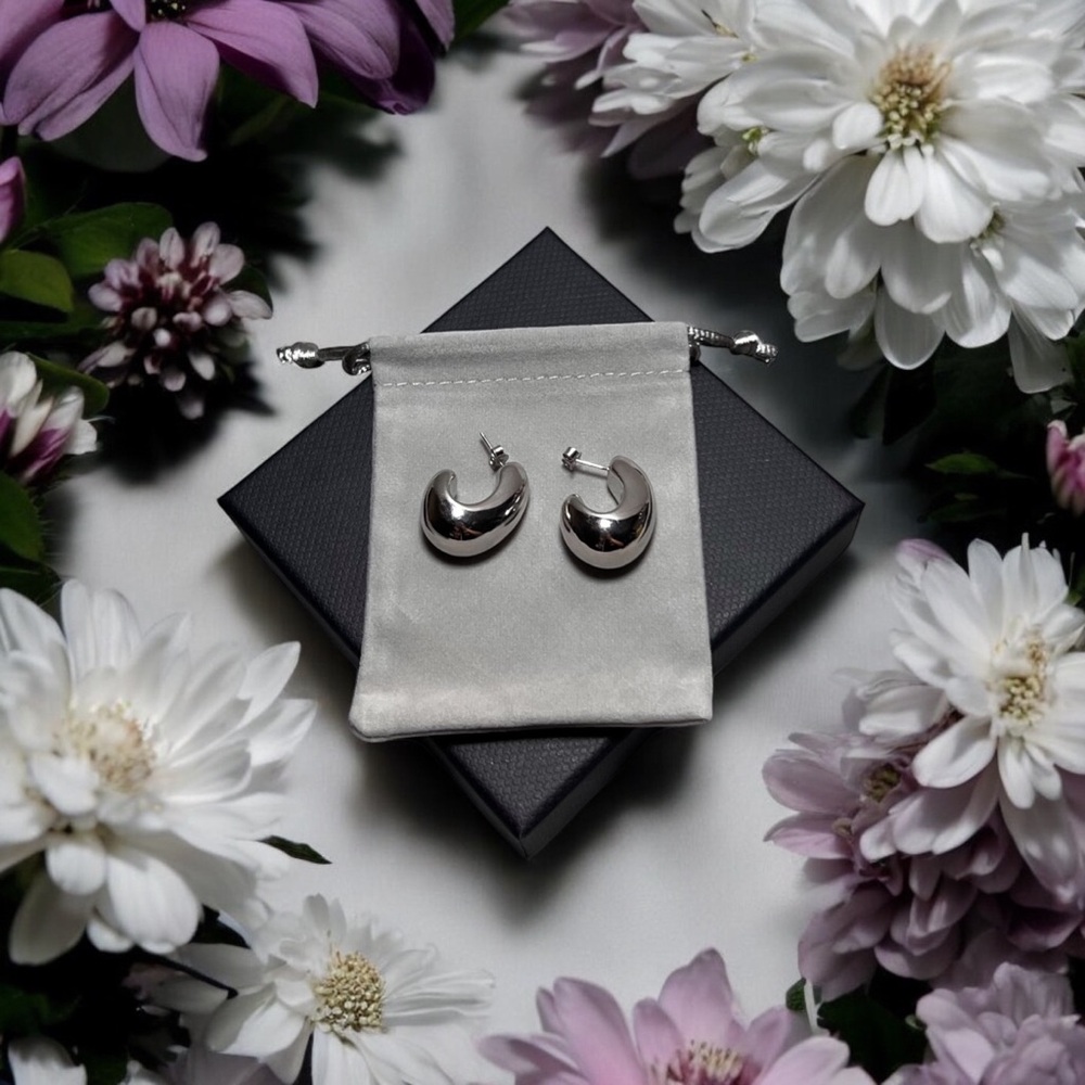 Elegant Silver Earrings